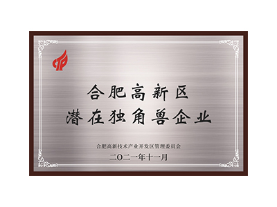 Perusahaan unicorn potensial di Zona Teknologi Tinggi Hefei