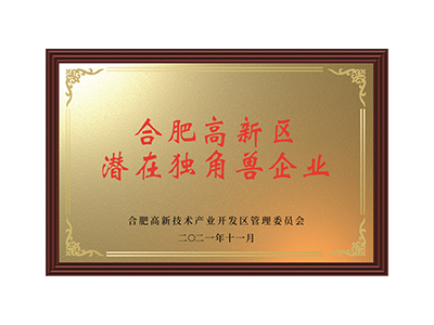 Perusahaan unicorn potensial di Zona Teknologi Tinggi Hefei